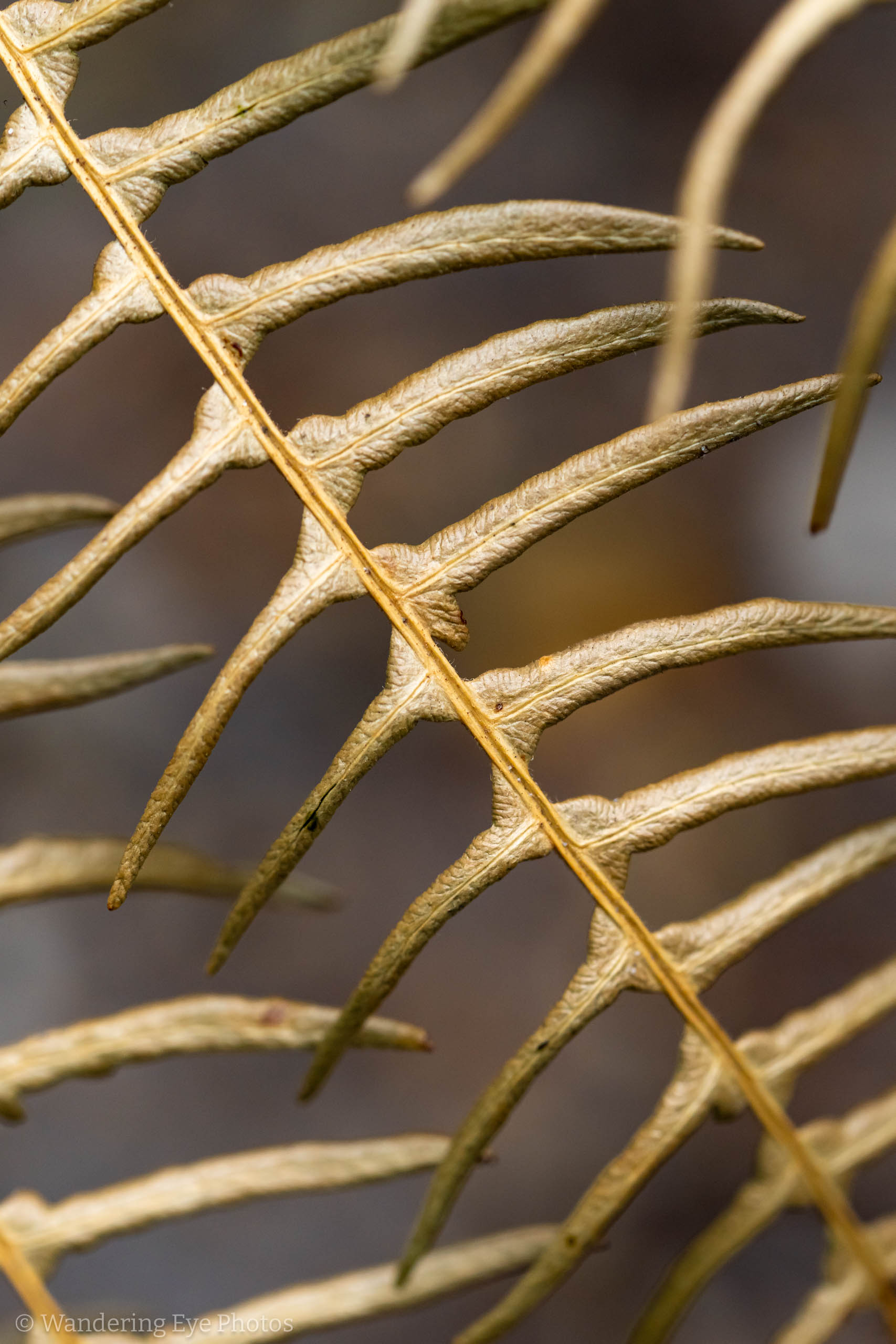 08.31 14.42.07   DSC02778